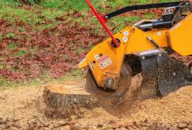 Leaf Removal in Oakland, NJ